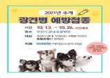 부천시 “반려견 광견병 예방접종 받으세요”