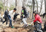 부천시, 식목일 맞아 시민과 함께 원미산 진달래 5,000주 식재